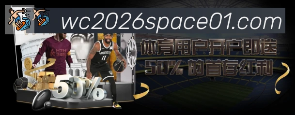 未来规划
